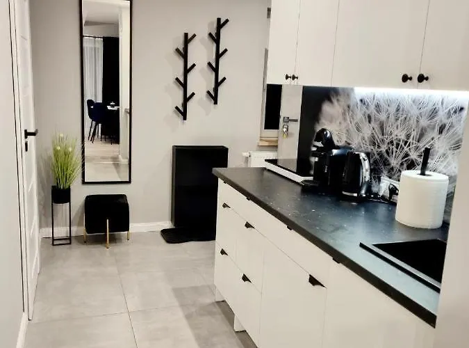 公寓 Chopina 卡尔帕奇